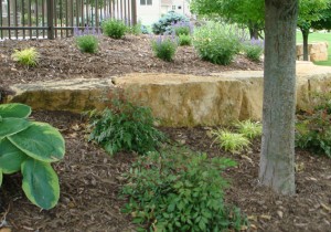 Contoured Plantings in Chanhassen, MN